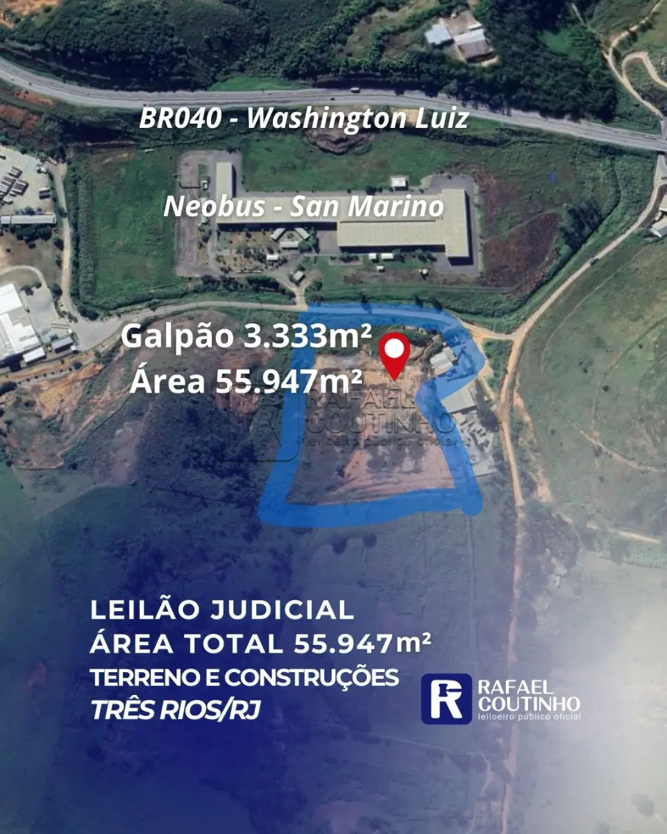 LOTE ÚNICO