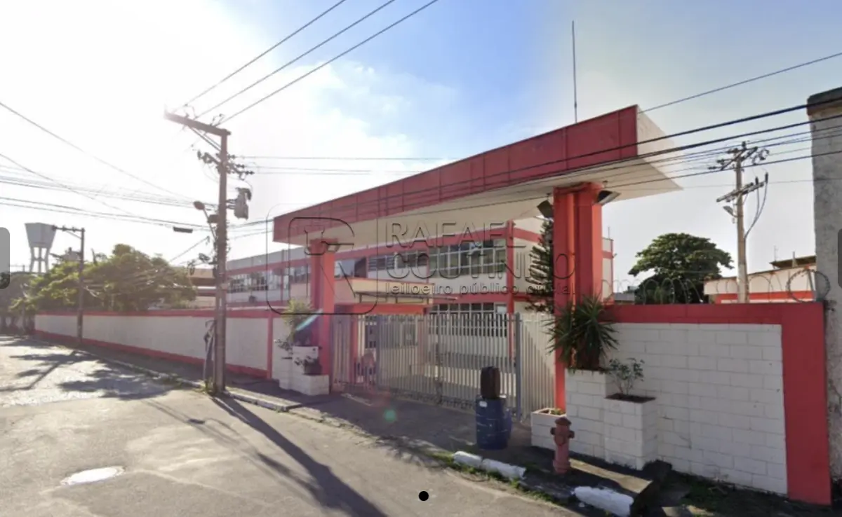 LOTE ÚNICO
