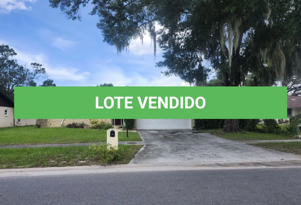 LOTE ÚNICO