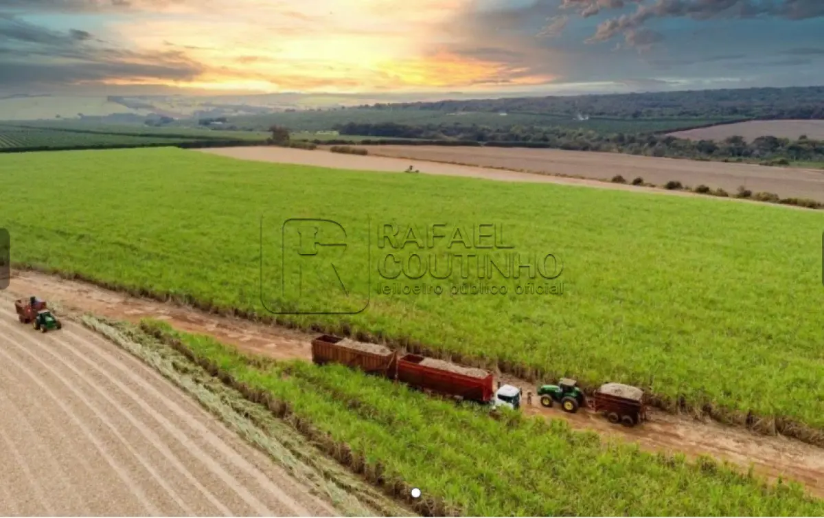 LOTE ÚNICO - Lote de Fazendas Agrocanavieiras - Área 2.950 ha (29.507.692m²) -  Terreno e Respectivas Construções. Pague em até 60 vezes.