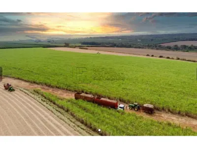 Lote de Fazendas Agrocanavieiras - Área 2.950 ha (29.507.692m²) -  Terreno e Respectivas Construções. Pague em até 60 vezes.
