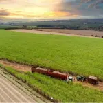 ÁREA 2.950 HA (29.507.692M²) - FAZENDAS AGROCANAVIEIRAS: TOCOS 1; TOCOS 2; CONCHA 1; CONCHA 2; CONCHA 3 E BAGANZAL. IMÓVEL DESOCUPADO. TERRENO E RESPECTIVAS CONSTRUÇÕES. PAGUE EM ATÉ 60 VEZES.