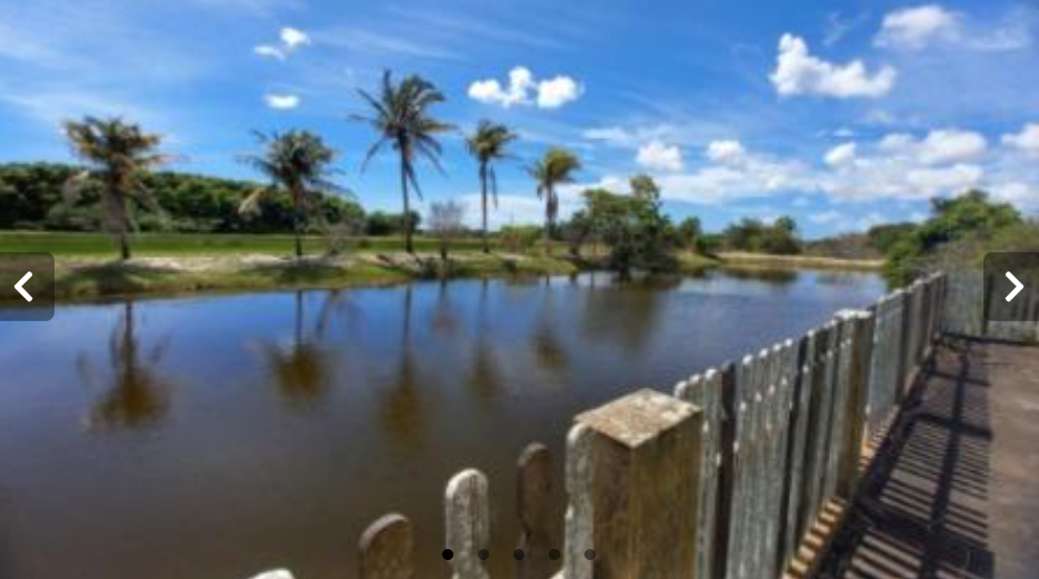 Área 83.600 m² - Cajueiro, São João da Barra/RJ - Antiga Estrada do Galinheiro (Coleginho).