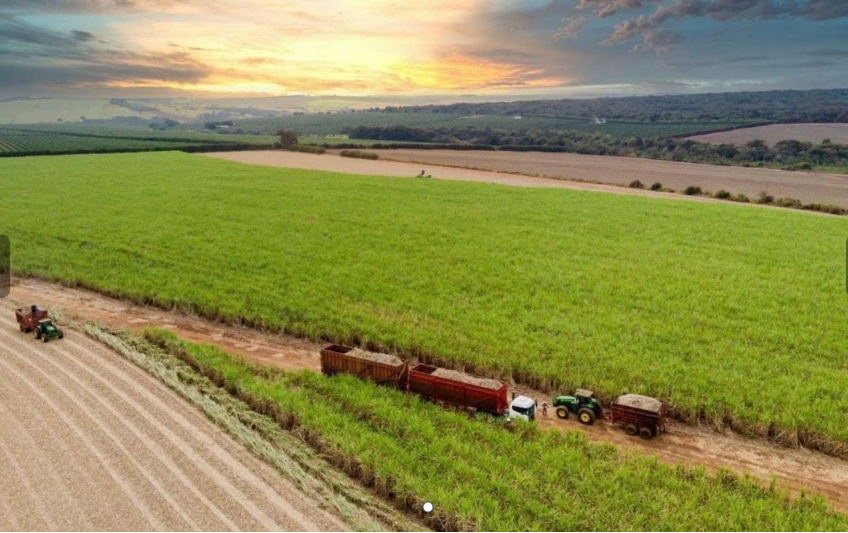 Área 2.950 ha (29.507.692m²) - Fazendas Agrocanavieiras: Baganzal. Imóvel Desocupado. Terreno e Respectivas Construções. Pague em até 60 vezes.